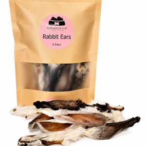 Rabbit Ears (5)