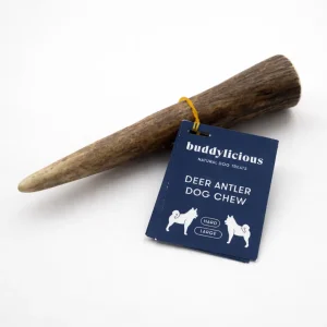 Buddylicious Whole Deer Antler Dog Chew